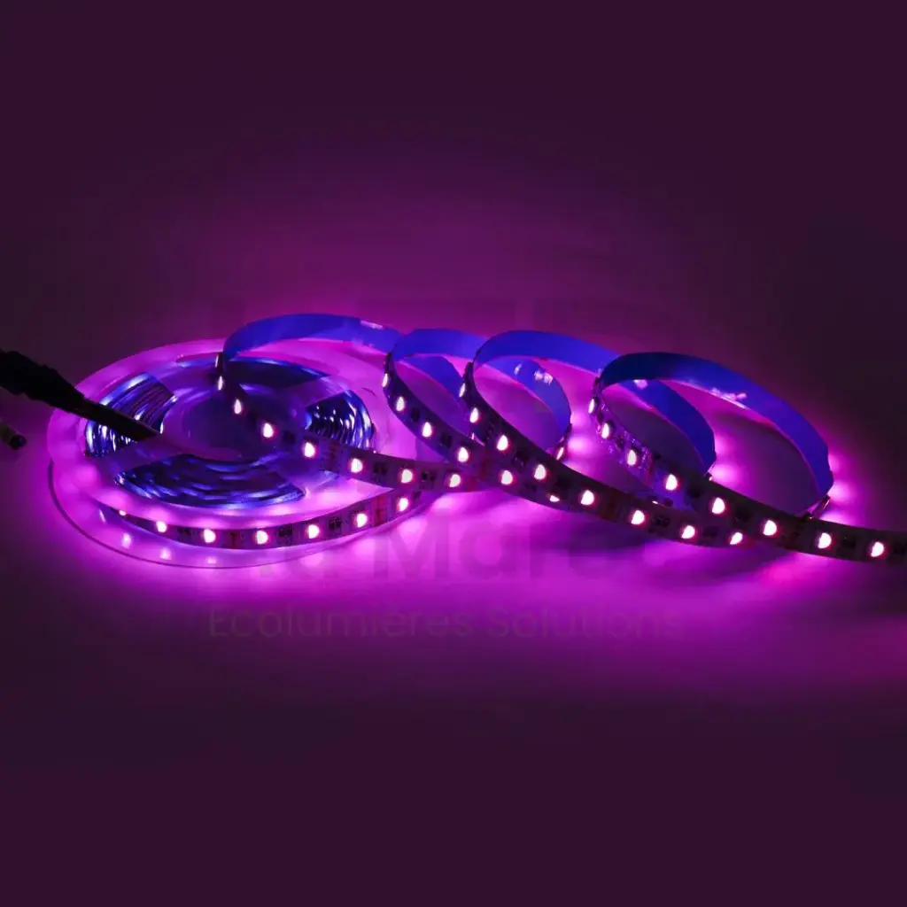 [5050-60-20] RUBAN RGBW LED  IP20 DC 24V 10M